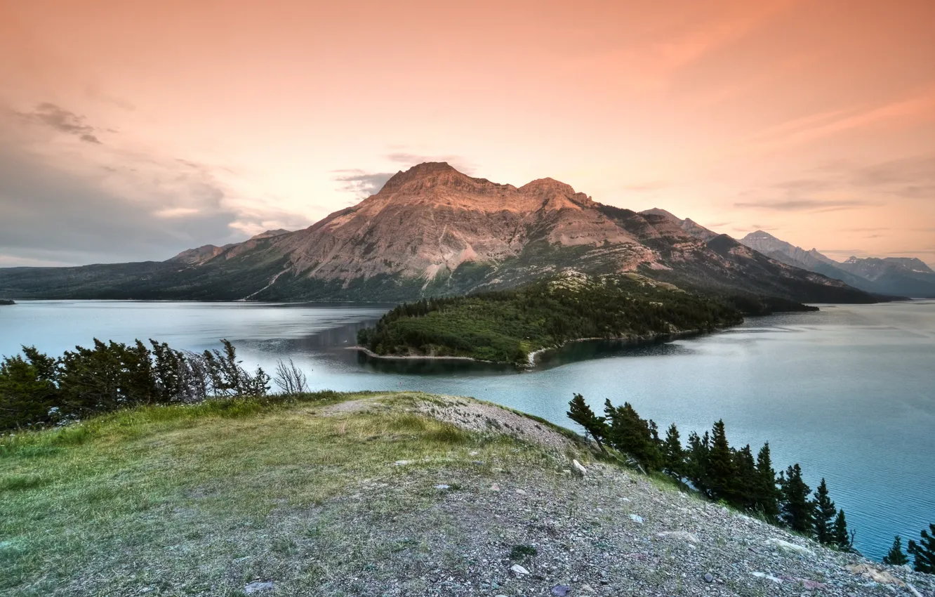 Фото обои лес, озеро, гора, canada, национальный парк, alberta, waterton lakes national park