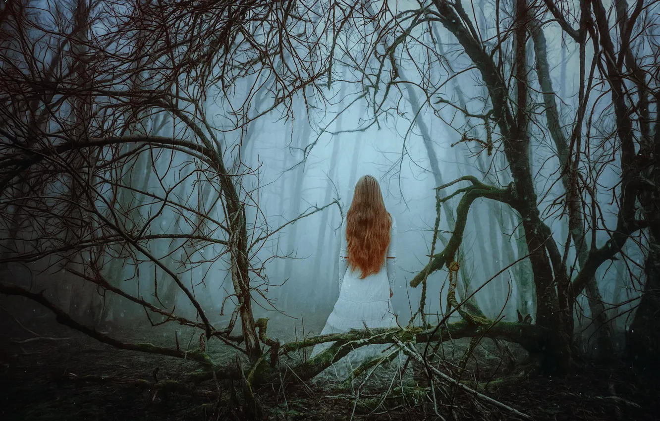 Фото обои ЛЕС, ПЛАТЬЕ, ДЕРЕВЬЯ, ВЕТКИ, НАСТРОЕНИЕ, ТУМАН, РЫЖАЯ, by Peter Brownz Braunschmid