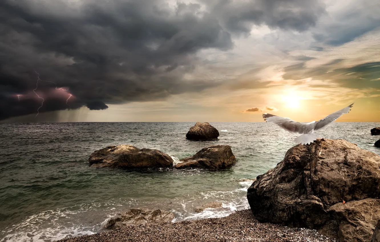 Фото обои море, гроза, небо, солнце, тучи, камни, дождь, птица