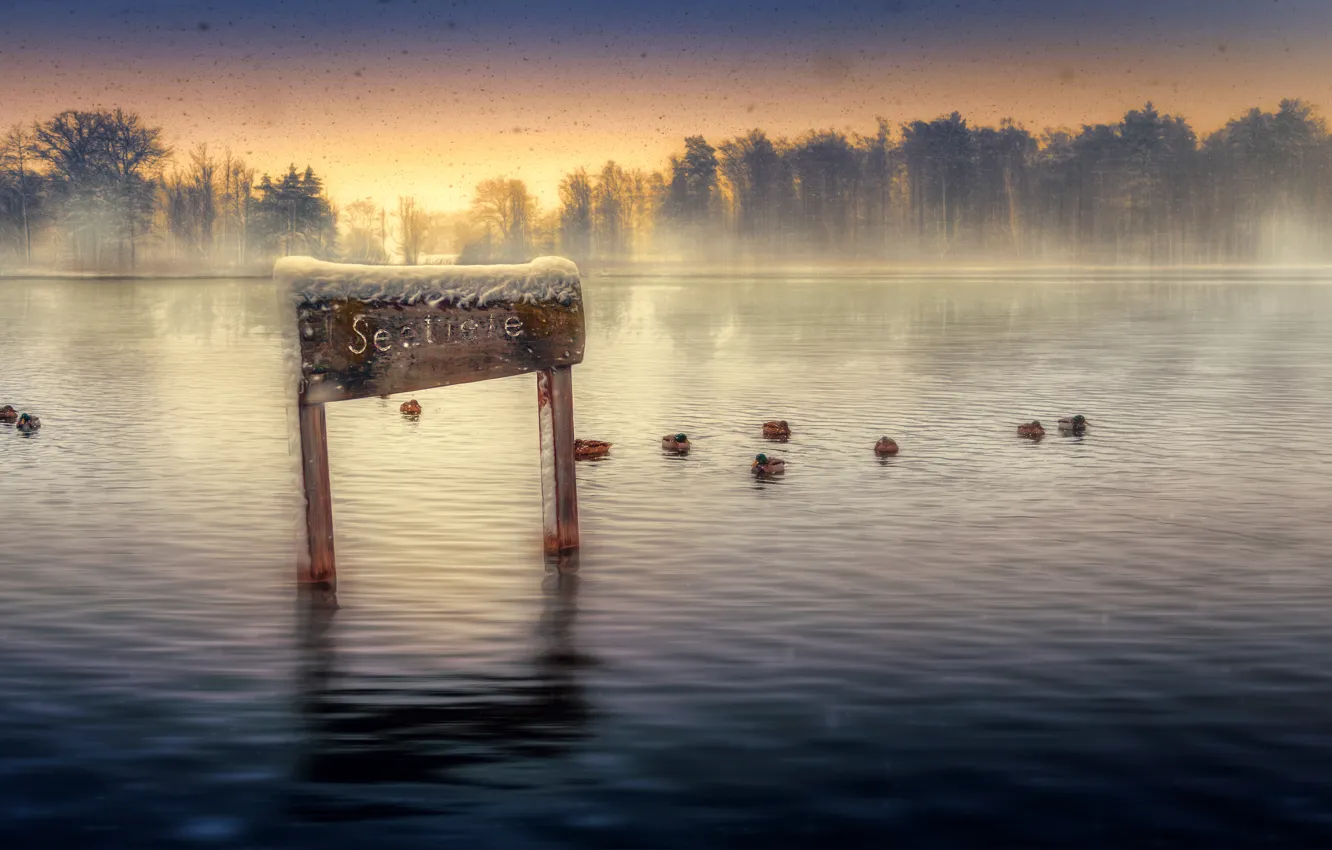 Фото обои снег, озеро, утки, обработка, Seetiefe