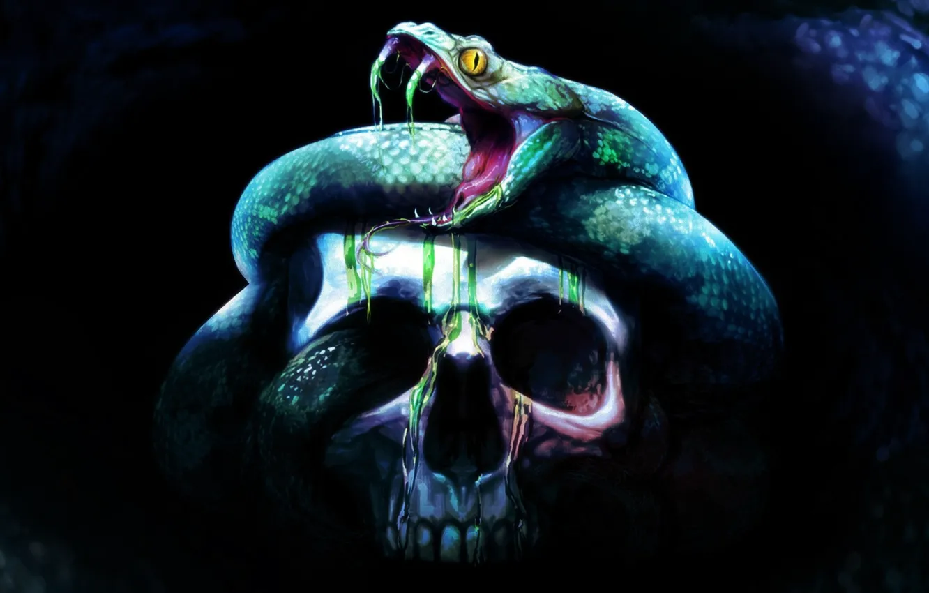 Фото обои фон, страх, череп, змея, skull