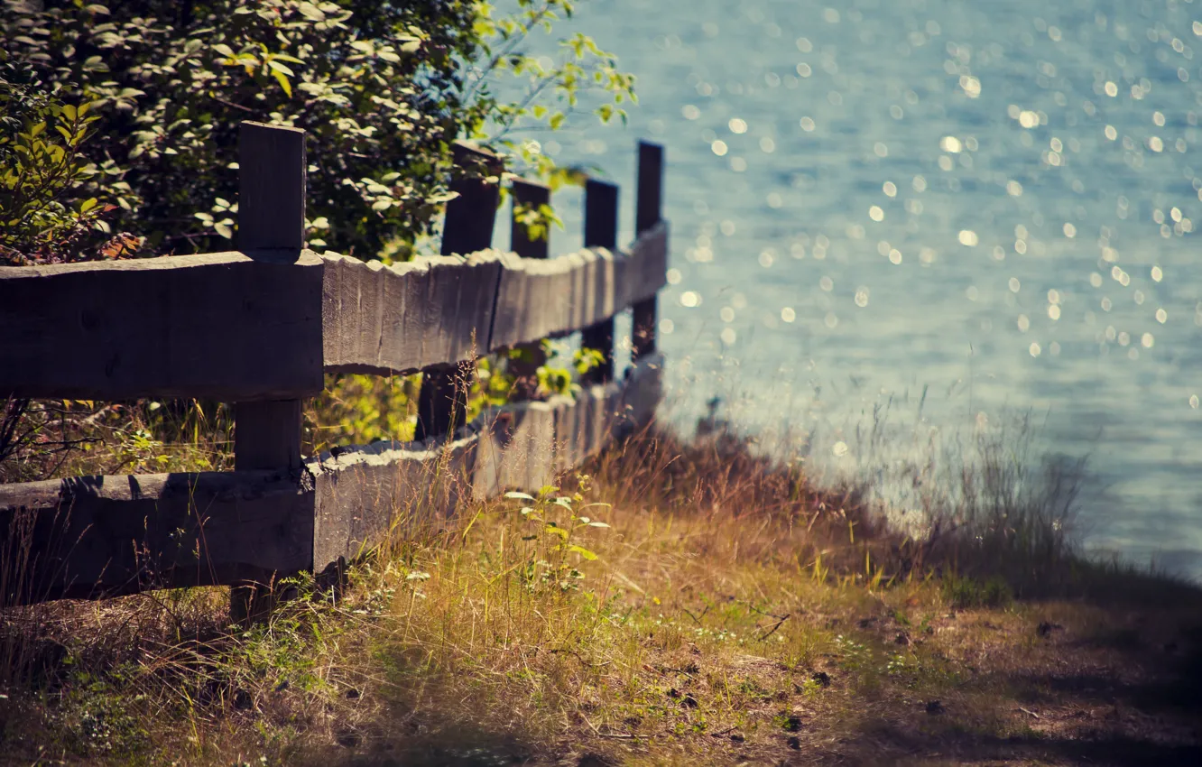 Фото обои лето, свет, природа, растения, Забор, ограждение, боке