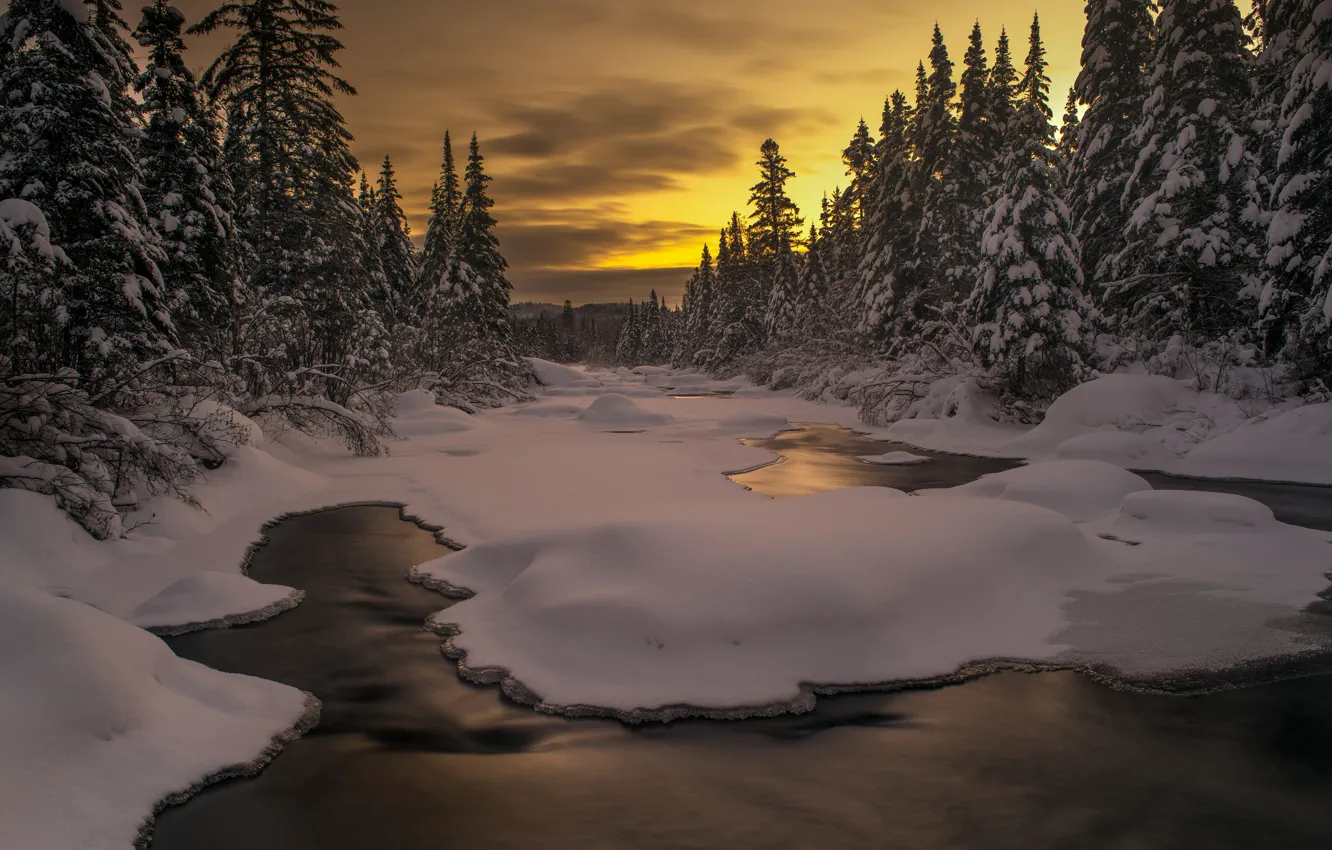 Фото обои зима, лес, небо, облака, снег, пейзаж, закат, природа
