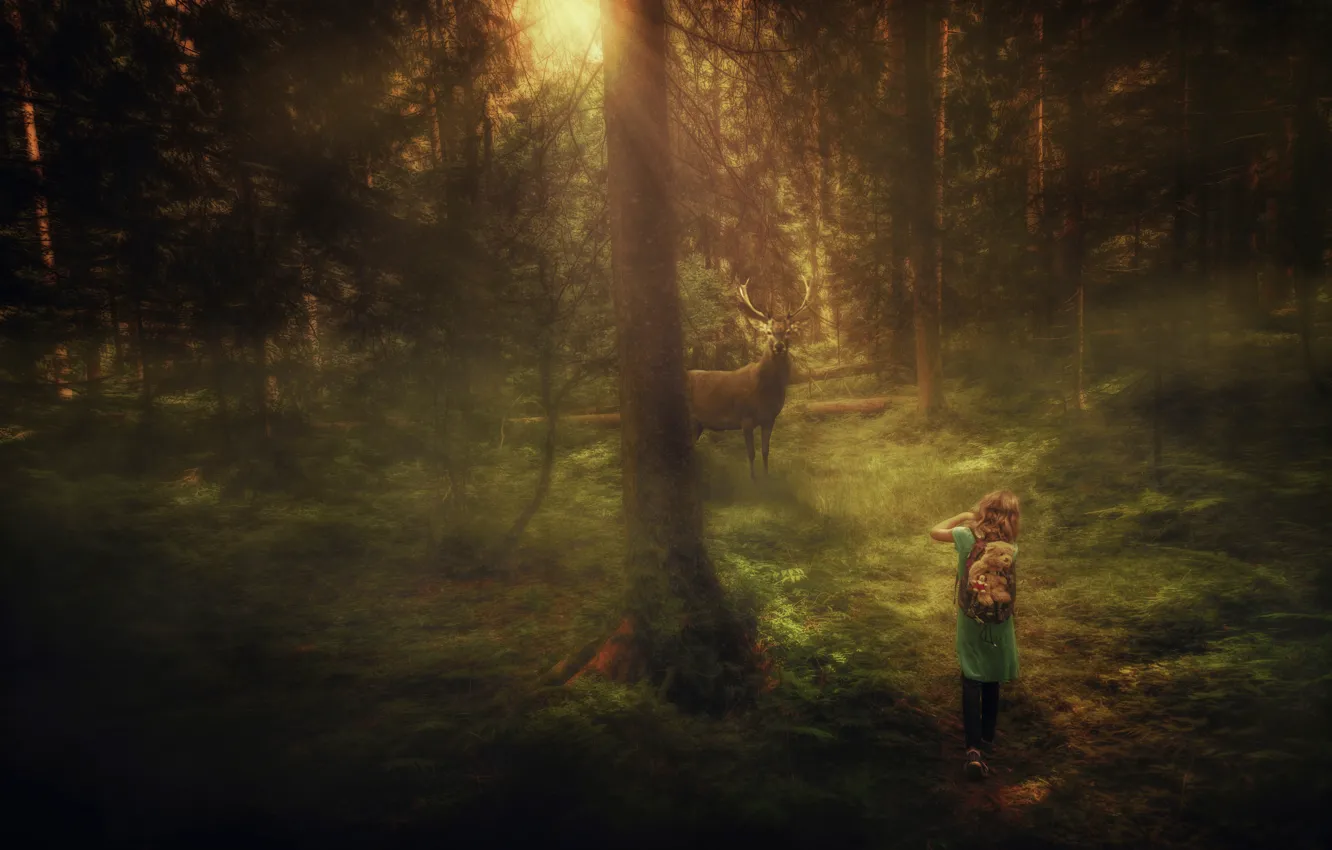 Фото обои лес, олень, девочка