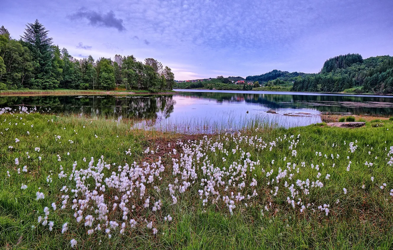 Фото обои лето, озеро, Норвегия