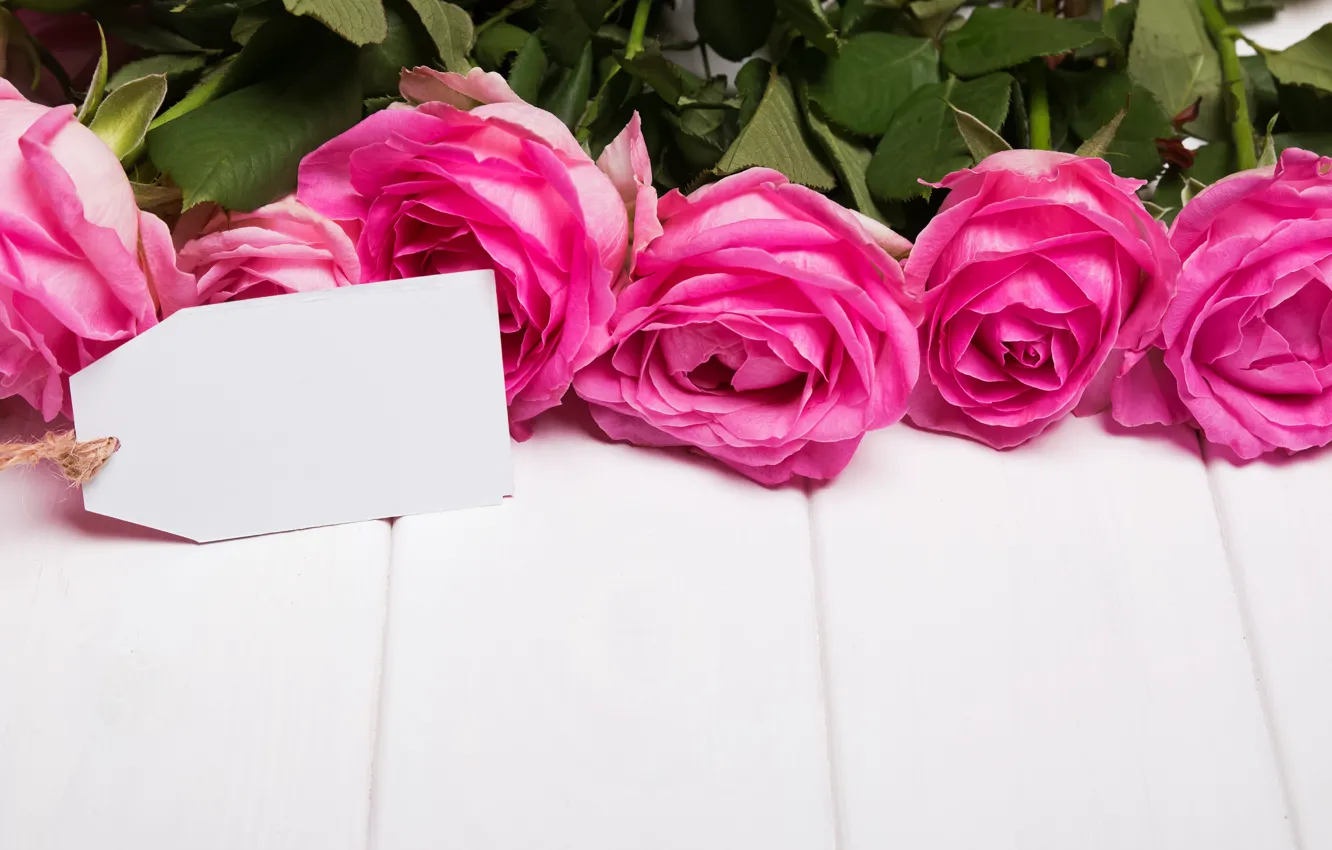 Фото обои розы, love, pink, flowers, romantic, roses, розовые розы