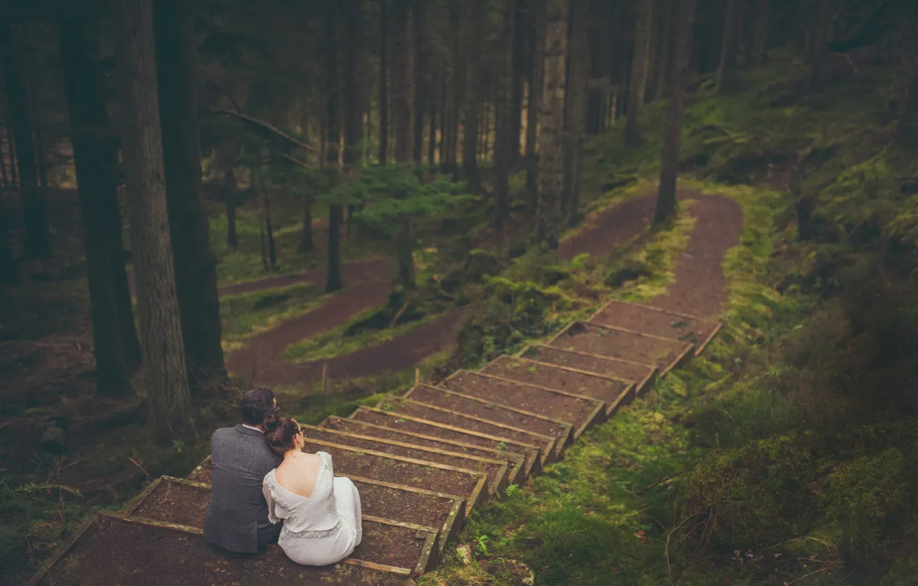 Фото обои лес, девушка, лестница, парень, влюбленные