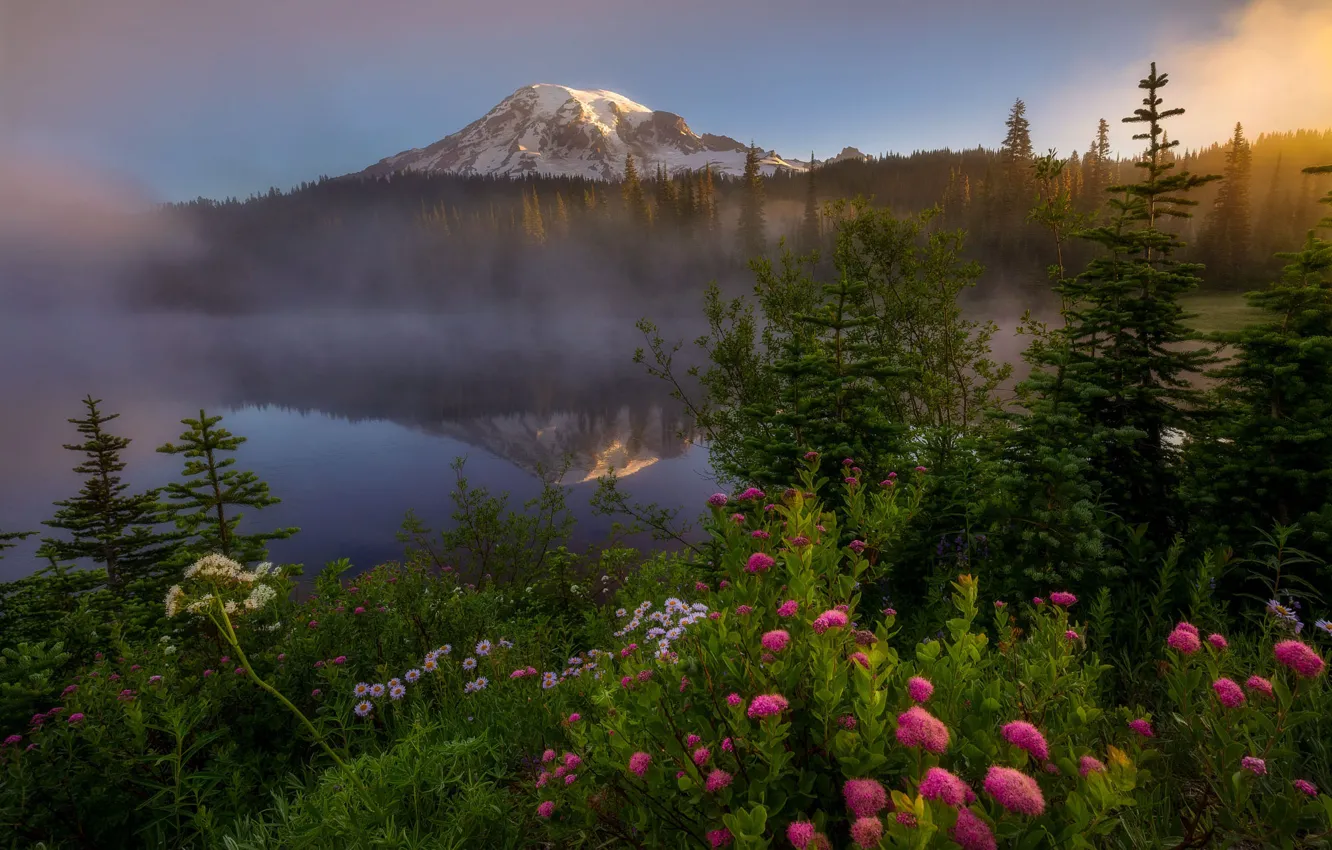 Фото обои лес, цветы, горы, туман, озеро, Doug Shearer
