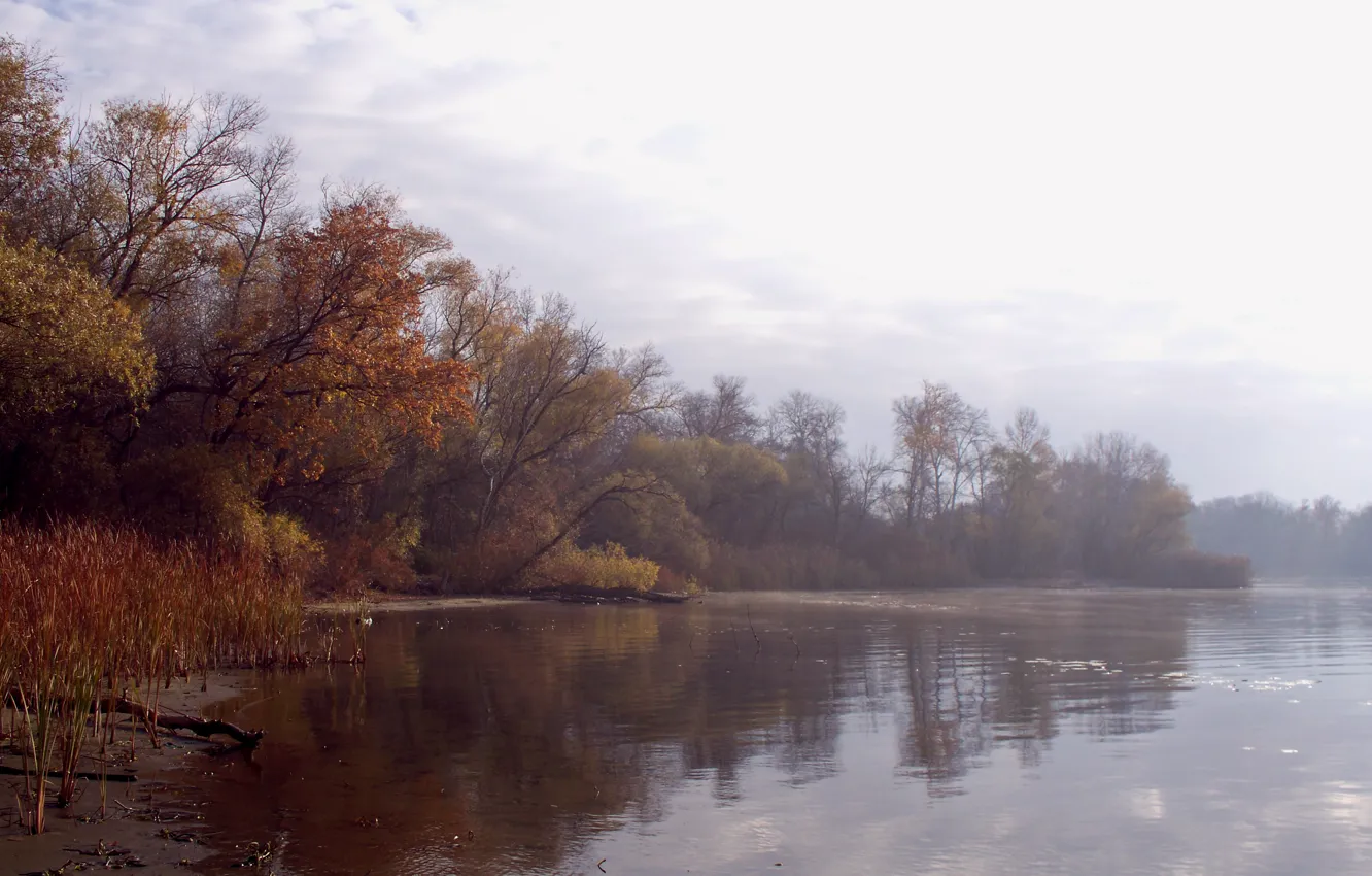 Фото обои осень, вода, пейзаж, туман, река, листва, утро, дымка
