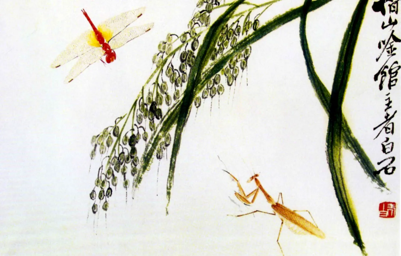 Фото обои трава, богомол, стрекоза, белый фон, китайская живопись, Ци Бай-ши