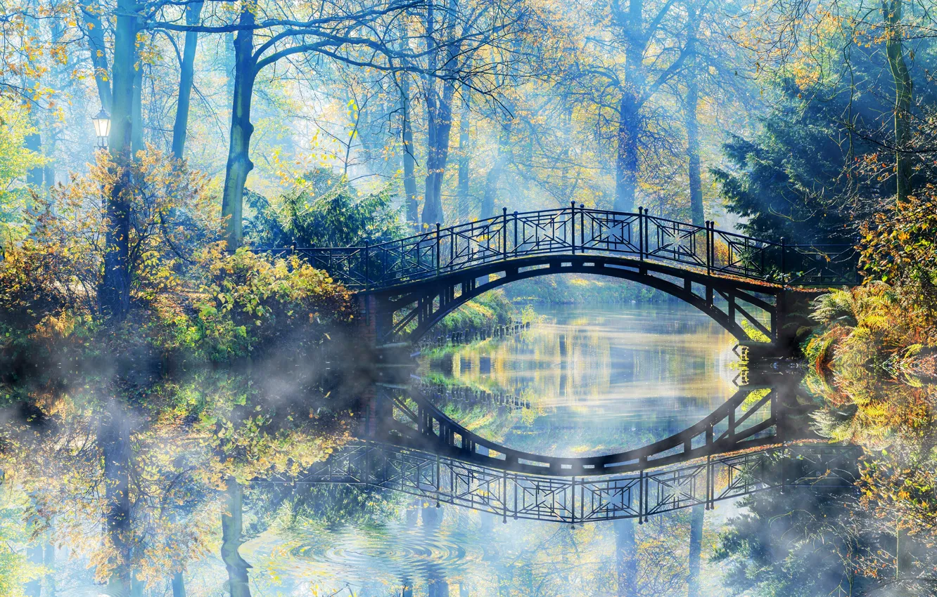 Фото обои Природа, Мост, Туман, Осень, Река, Парк