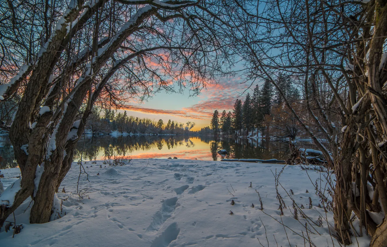 Фото обои зима, небо, снег, деревья, пейзаж, ветки, следы, природа