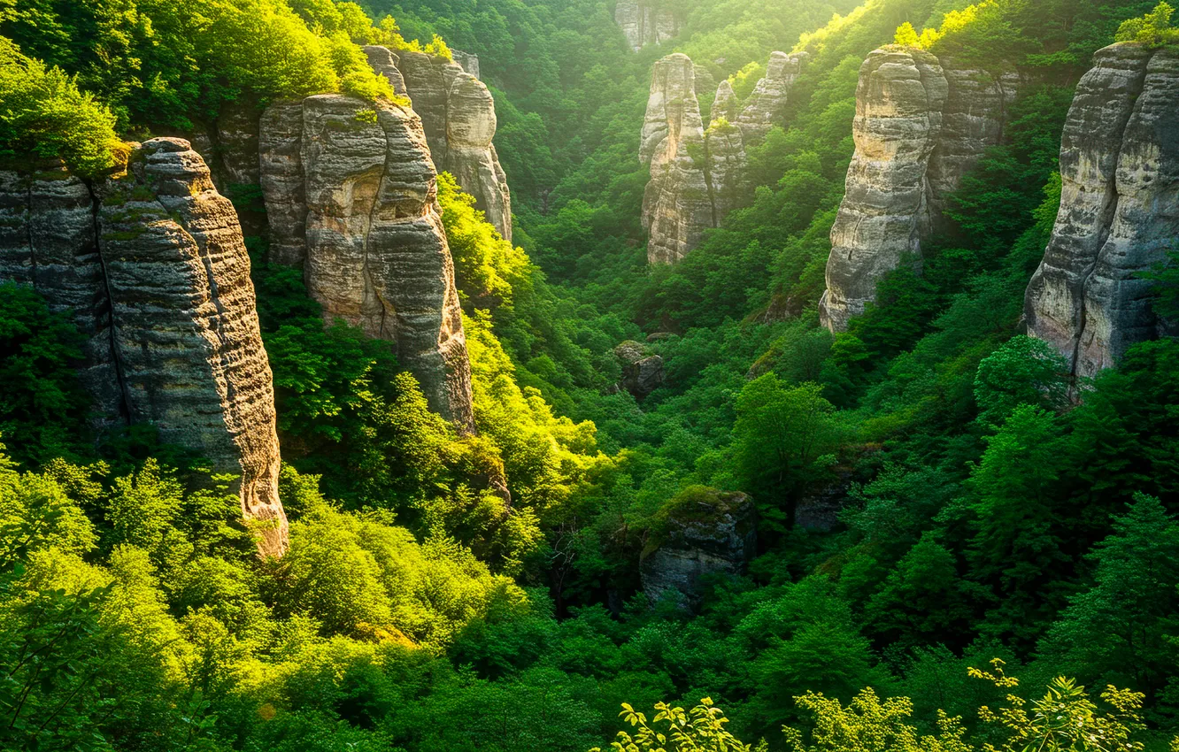 Фото обои солнце, деревья, горы, природа, скалы, обои, wallpaper, кусты