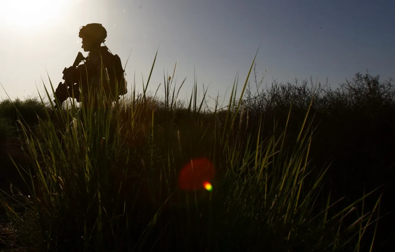 Фото обои трава, оружие, солдат, soldier