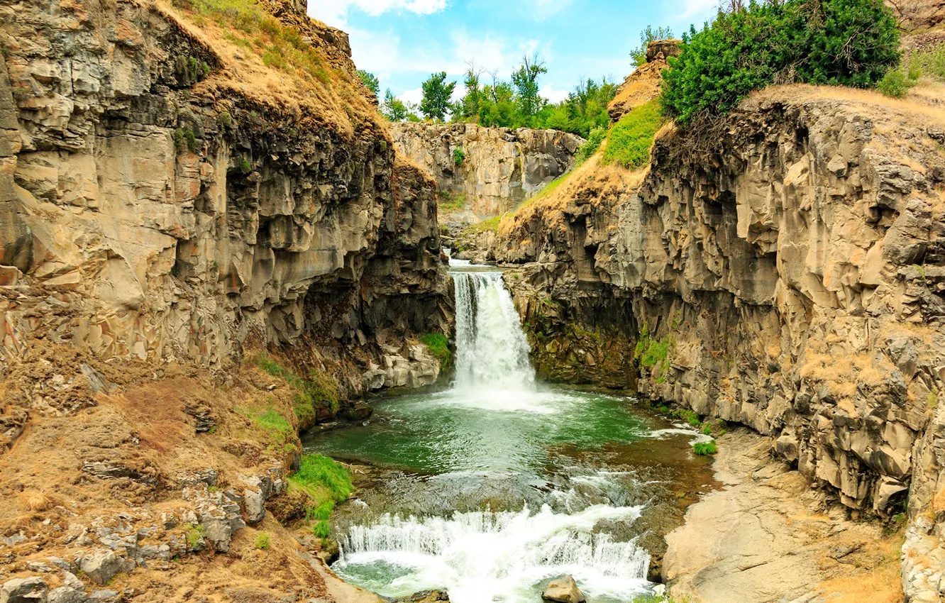 Фото обои деревья, ручей, камни, скалы, водопад, США, White River Falls State Park