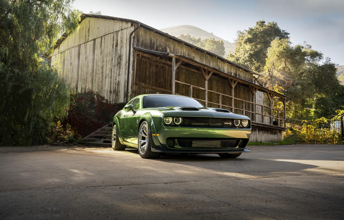 Фото обои green, Dodge, Challenger, muscle car, perfomance, Dodge Challenger SRT Hellcat