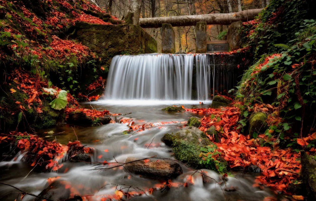 Фото обои осень, скалы, листва, водопад