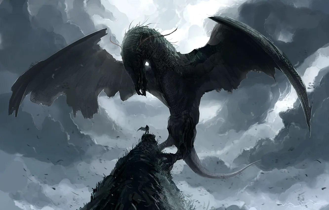 Фото обои скала, дракон, человек, крылья, мощь, арт, summoning fantasy