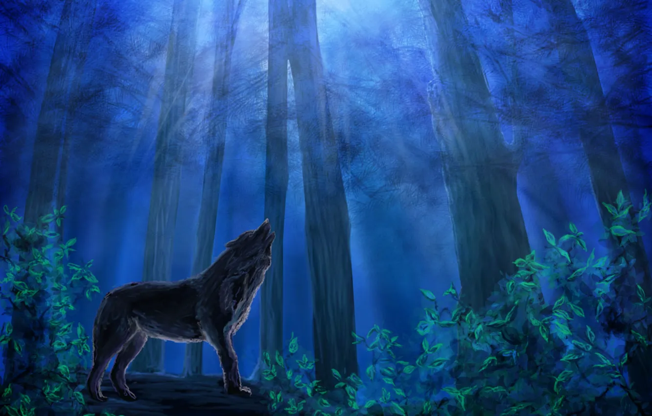 Фото обои лес, небо, листья, деревья, ночь, животное, волк, хищник