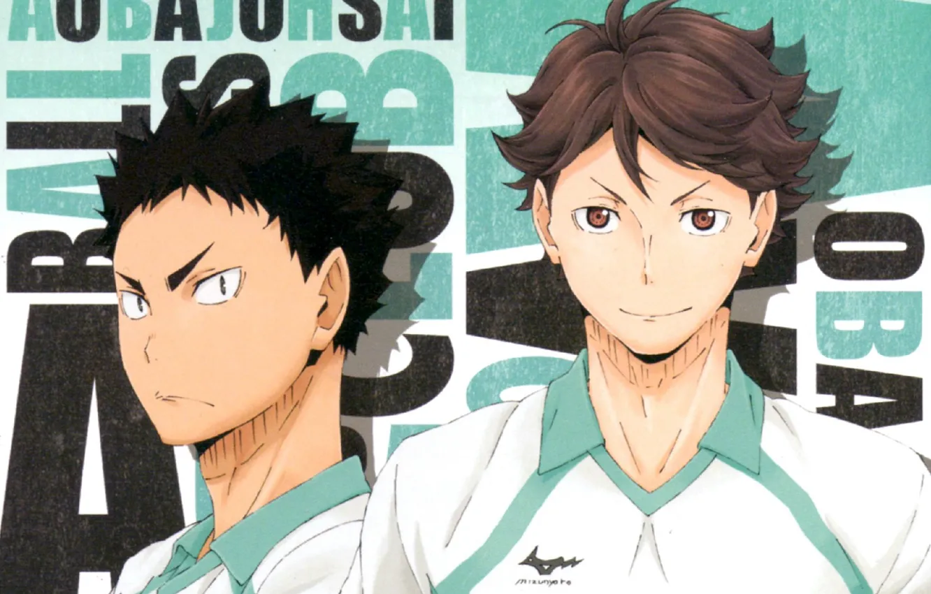 Фото обои взгляд, парни, спортивная форма, Haikyuu!!, Волейбол!, Hajime Iwaizumi, Tooru Oikawa, by Haruichi Furudate
