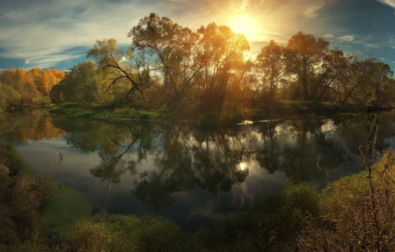Фото обои осень, небо, вода, солнце, облака, свет, Деревья, Алексей Ник