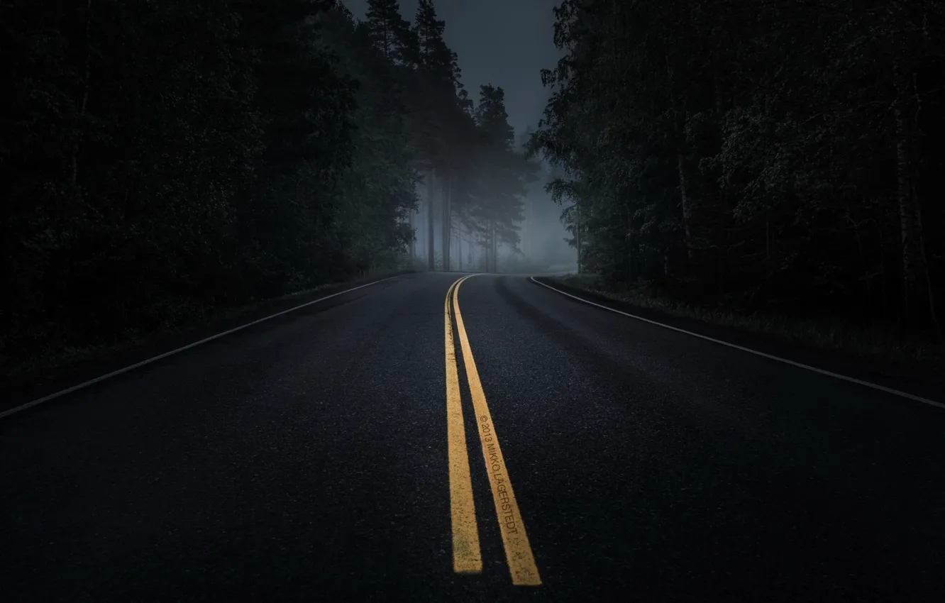 Фото обои дорога, лес, ночь, красиво