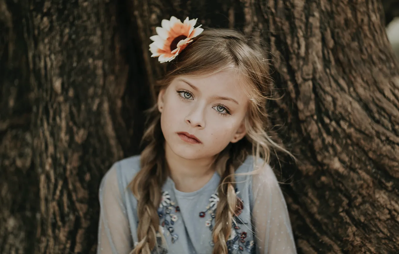 Фото обои взгляд, юность, дерево, красота, девочка, girl, tree, beauty