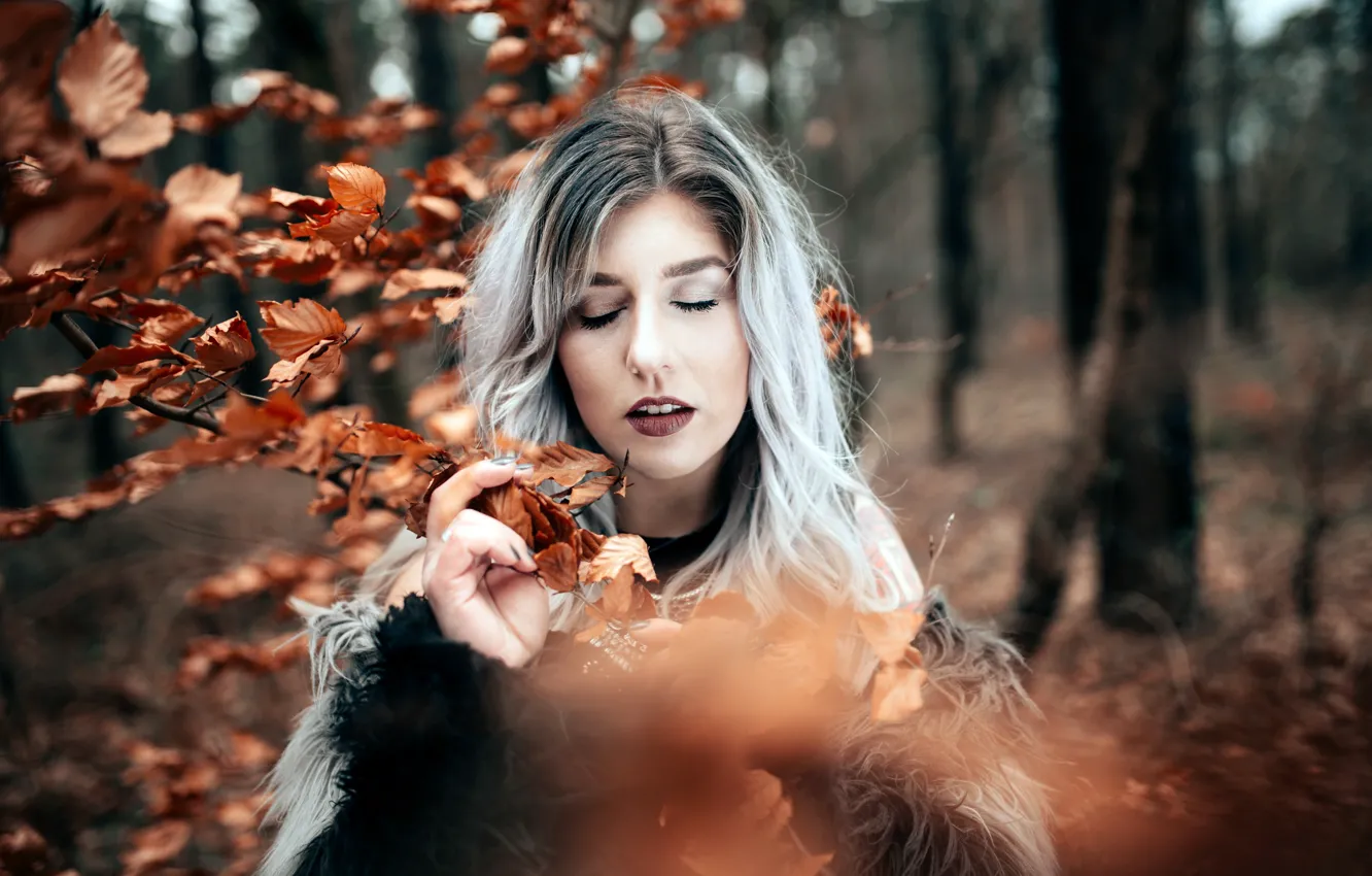 Фото обои девушка, осень, Sarah