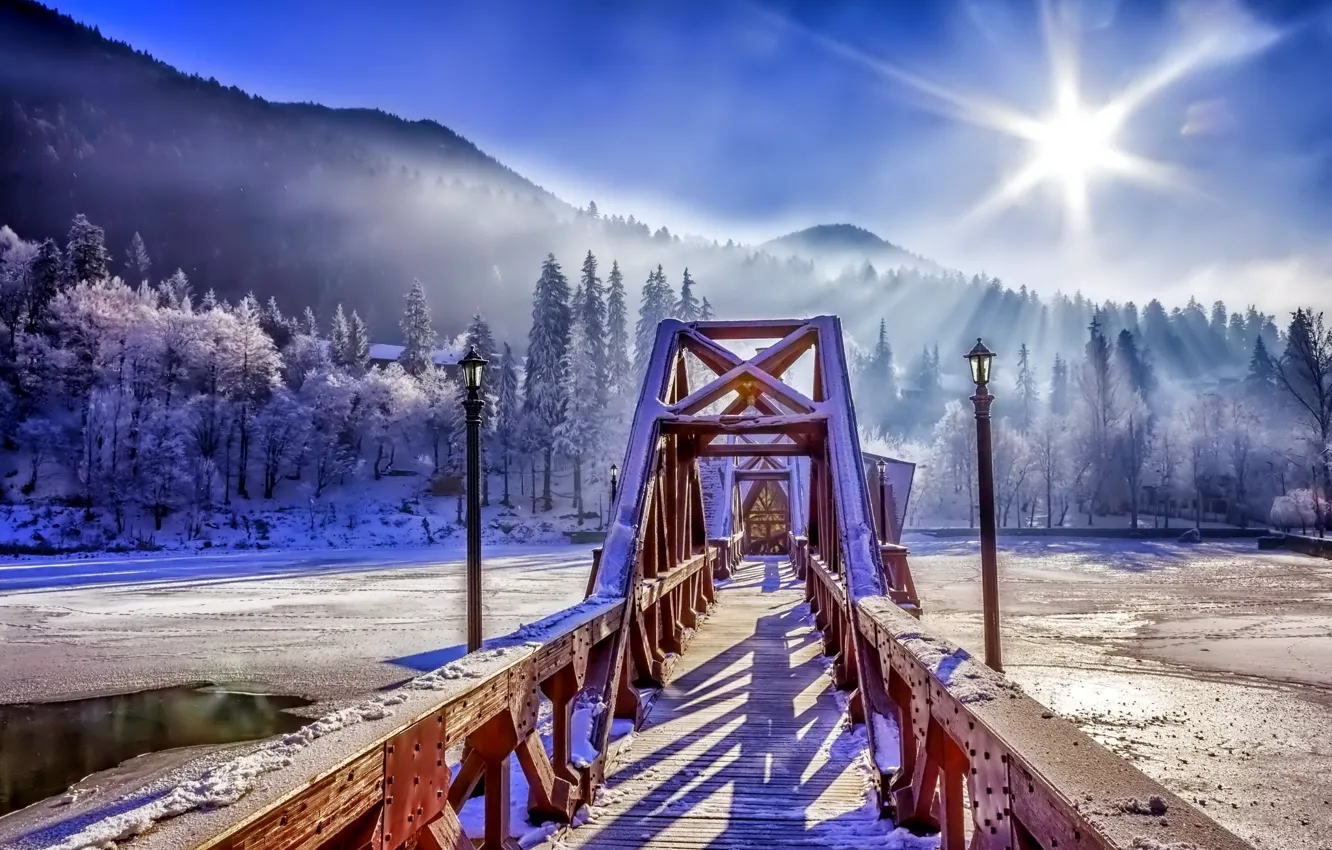 Фото обои зима, лес, небо, снег, мост, природа