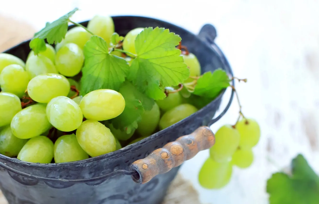 Фото обои белый, листья, ягоды, зеленые, виноград, гроздь, ведерко
