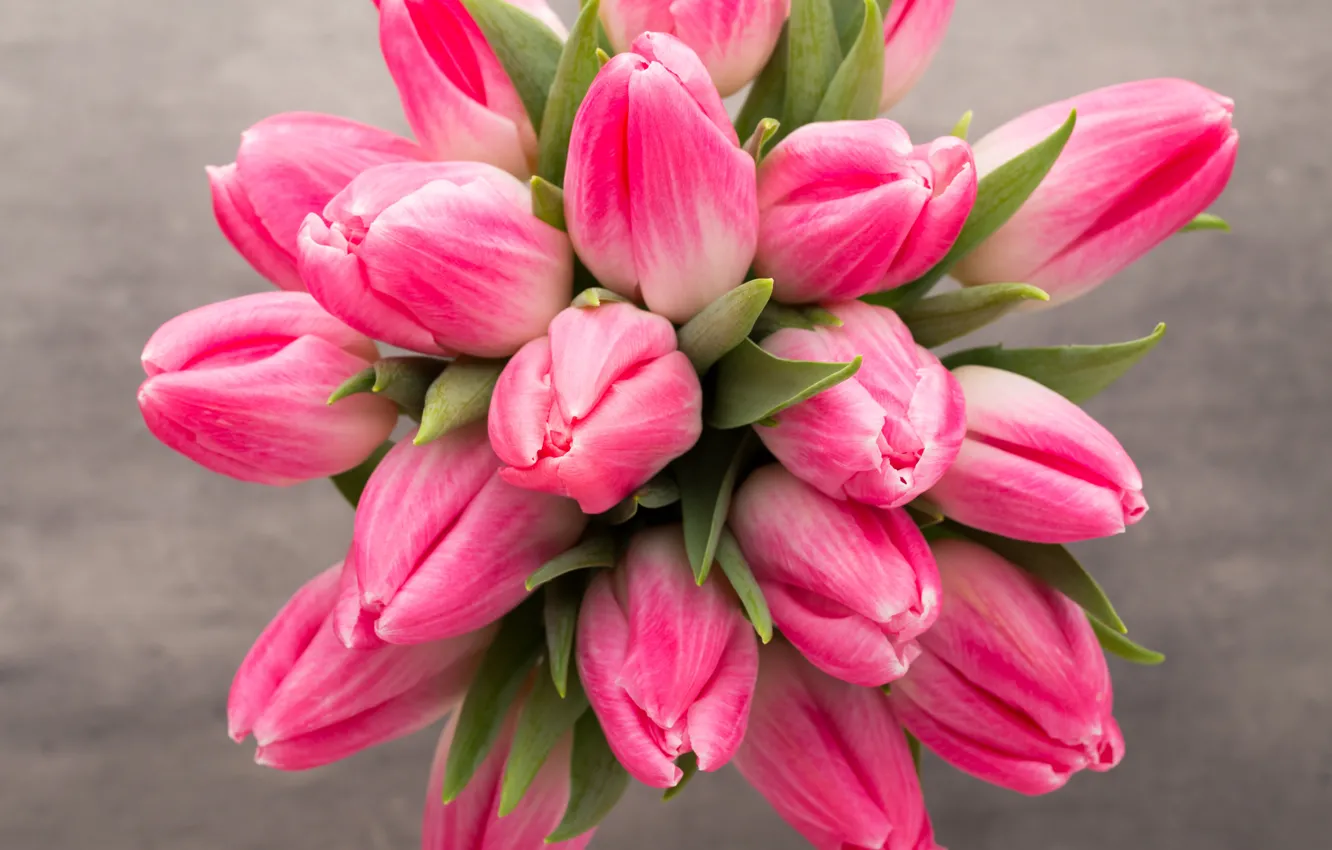 Фото обои цветы, букет, тюльпаны, fresh, pink, flowers, beautiful, tulips