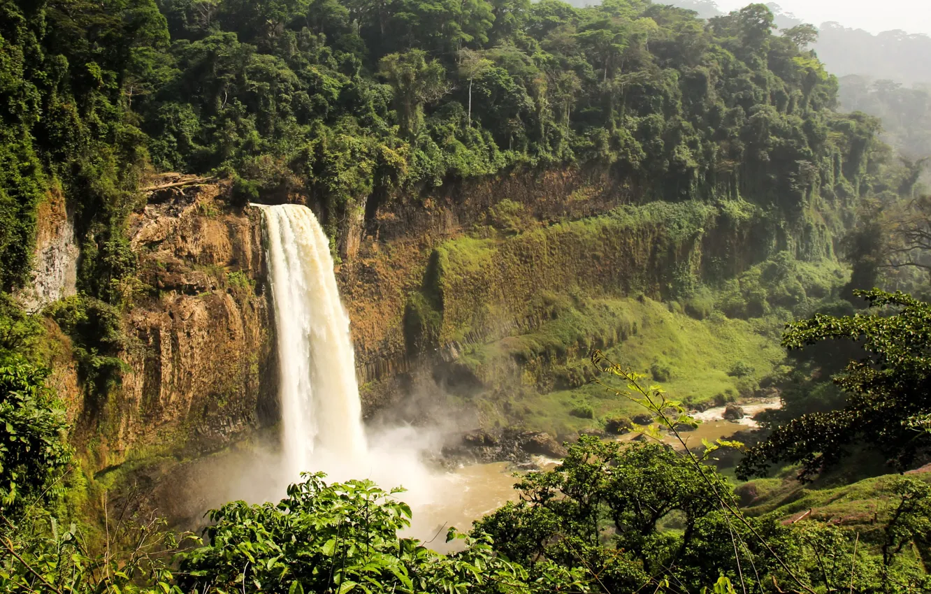 Фото обои лес, солнце, деревья, скала, тропики, водопад, джунгли, Cameroon
