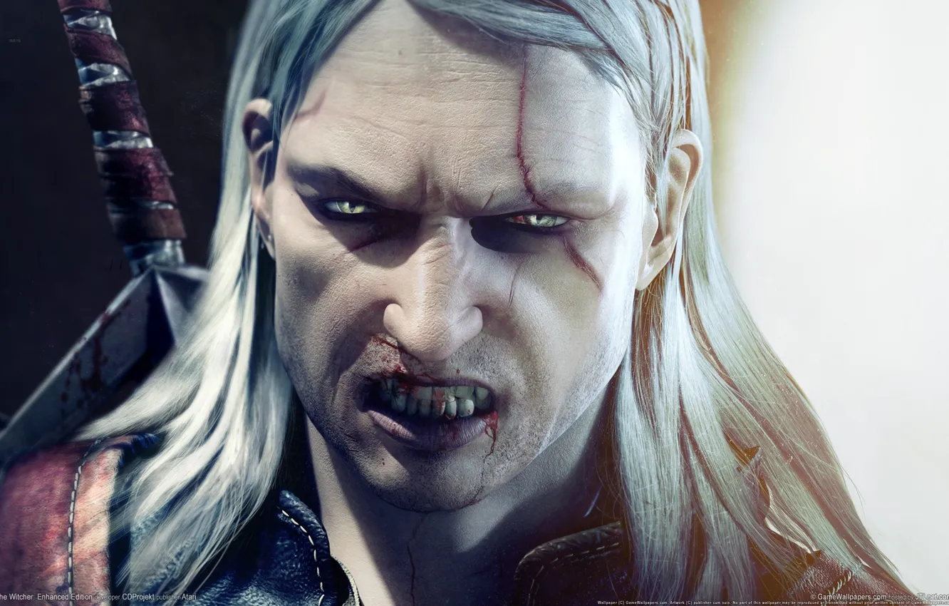 Фото обои the witcher, game, witcher, enhanced edition