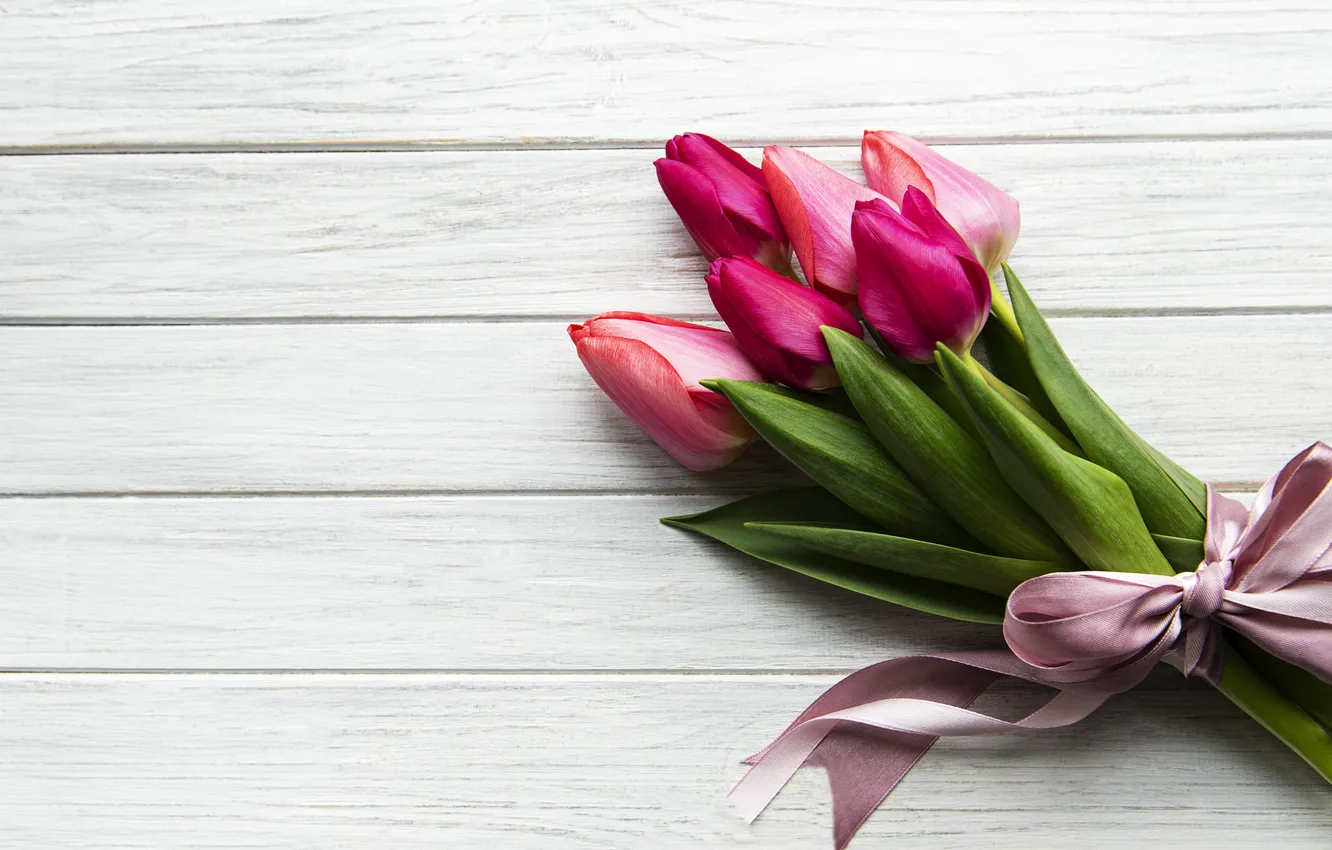 Фото обои цветы, букет, colorful, тюльпаны, wood, flowers, tulips, spring