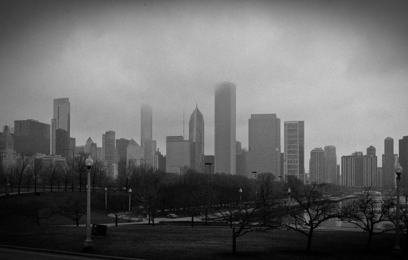 Фото обои туман, небоскребы, ч/б, чикаго, Chicago