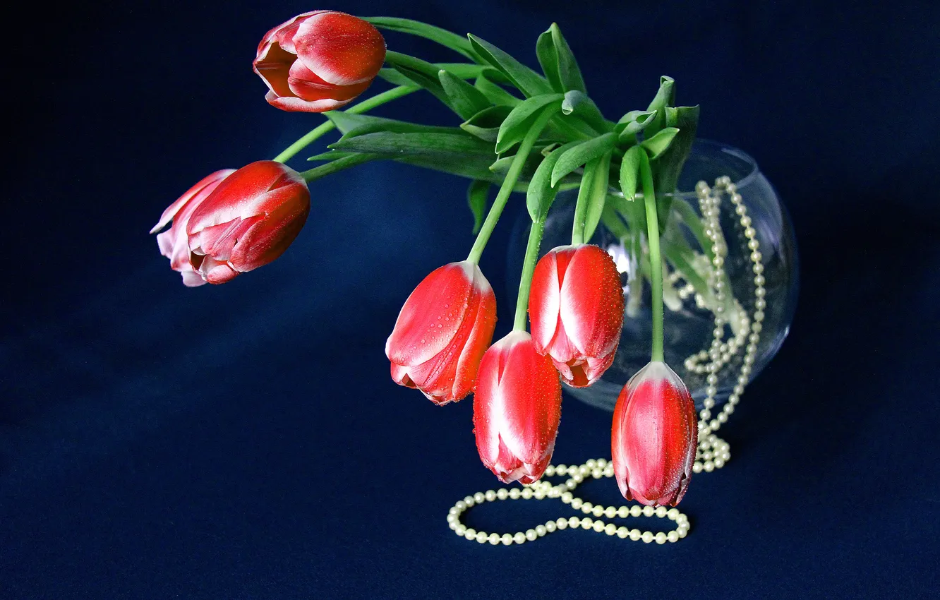 Фото обои цветы, букет, тюльпаны, бусы, ваза