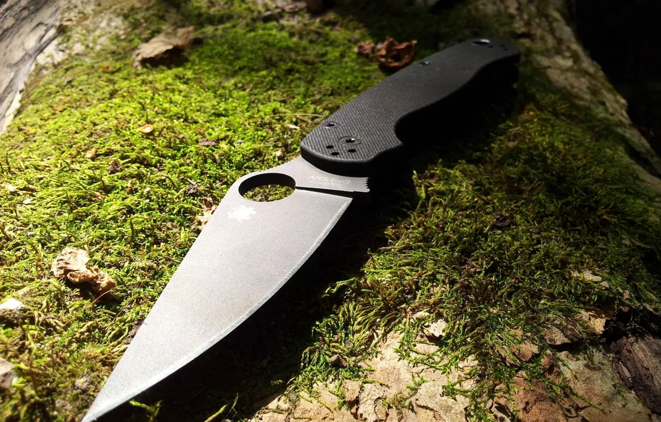 Фото обои лес, дерево, мох, Нож, Spyderco. Paramilitary 2