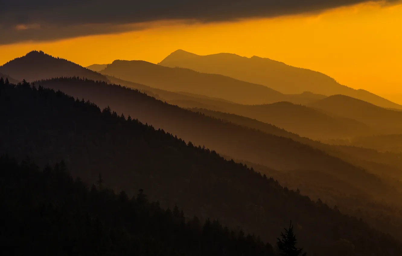 Фото обои закат, горы, Польша, Карпаты