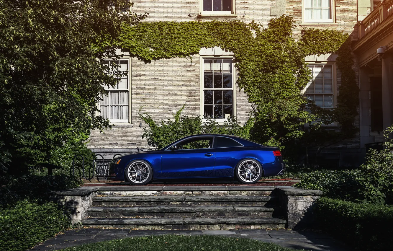 Фото обои Audi, ауди, профиль, синяя, Blue