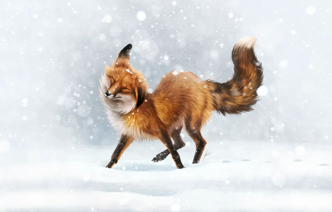 Фото обои Зима, Снег, Лиса, Fox, Winter, Snow, Animal, First Snow