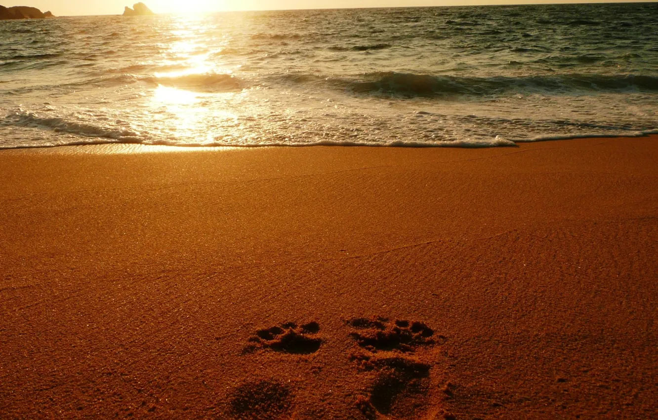 Фото обои песок, море, следы, океан