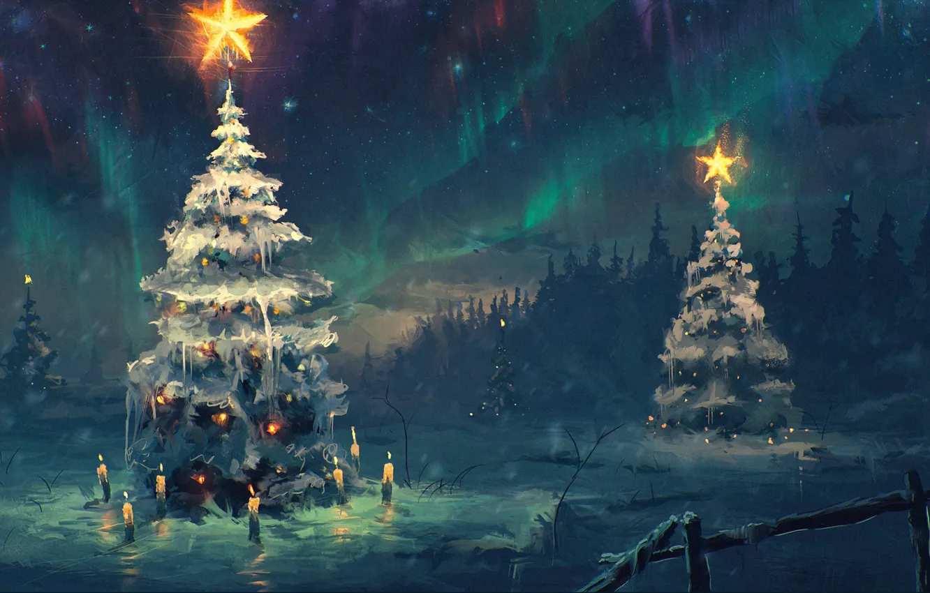 Фото обои зима, небо, звезды, снег, ночь, звезда, елки, новый год