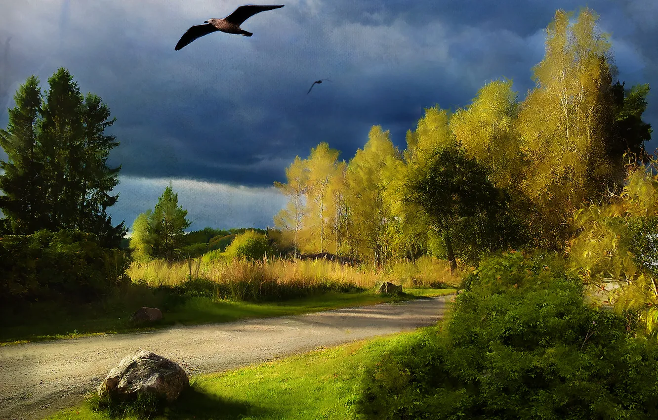 Фото обои дорога, трава, деревья, пейзаж, птица, рисунок, картина, холст