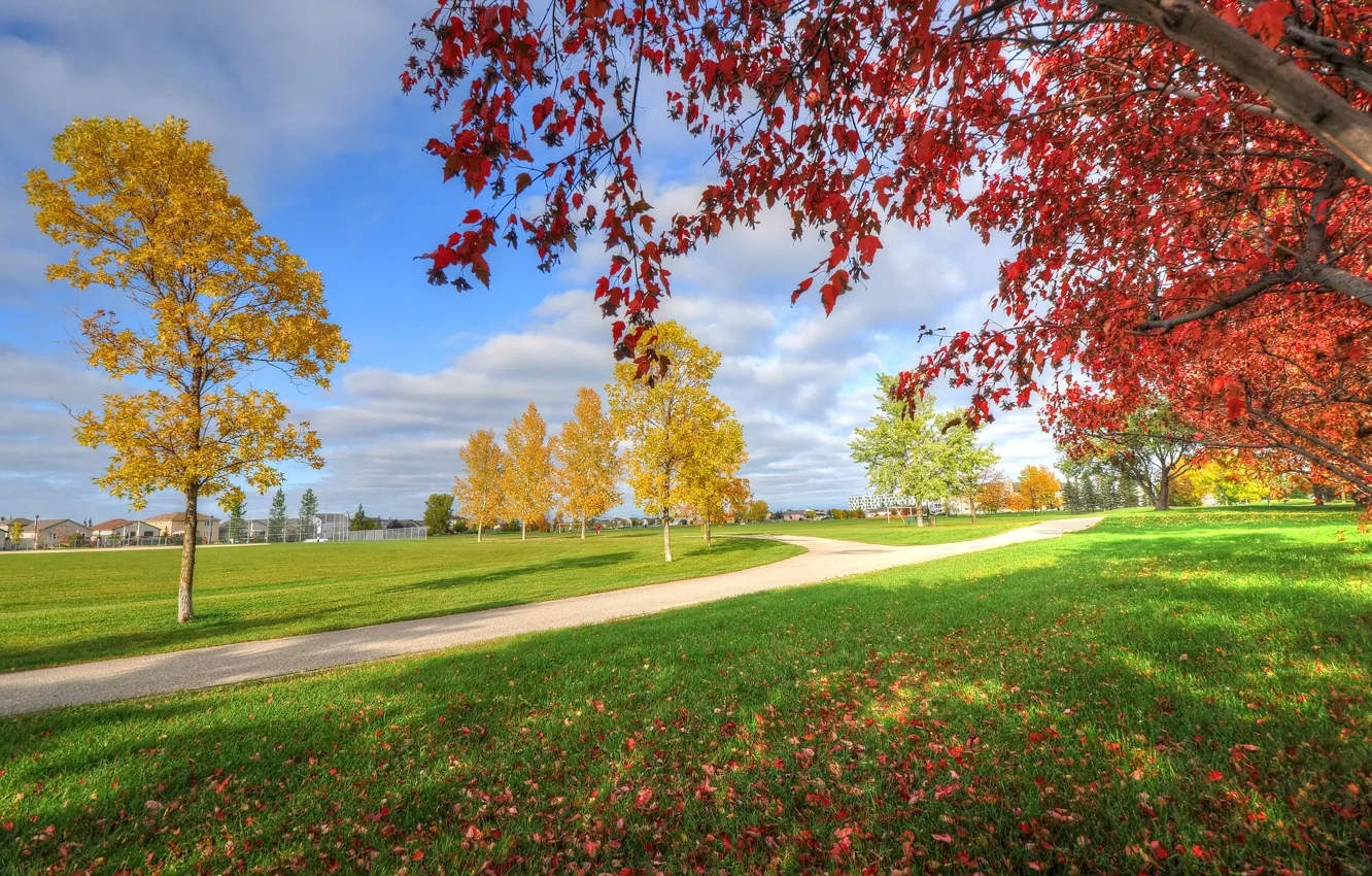 Фото обои осень, небо, трава, деревья, парк, дома, дорожка