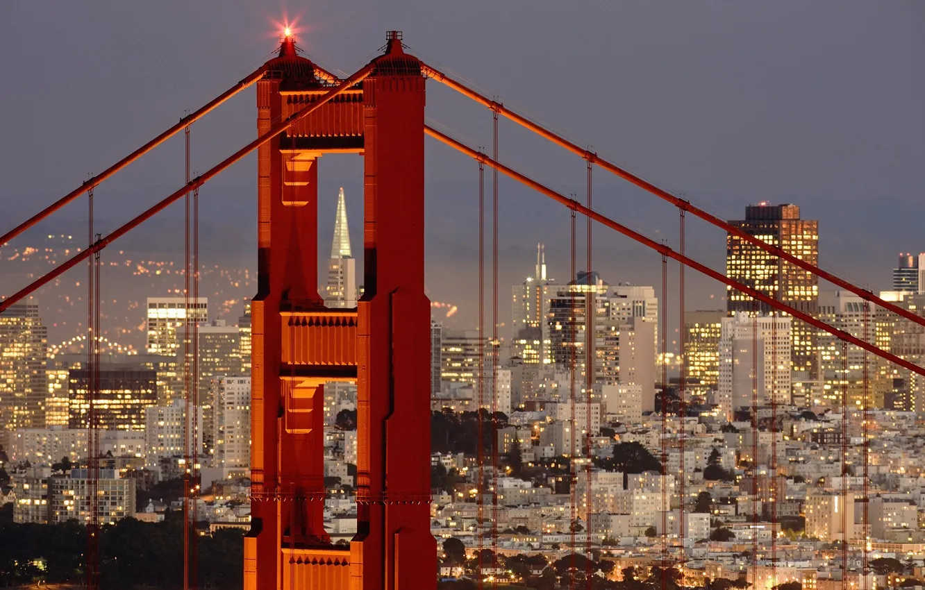 Фото обои city, lights, Golden Gate Bridge, landscape, bridge, sunset, panorama, night