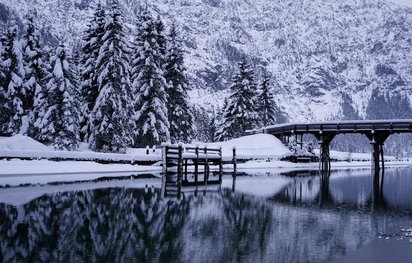 Фото обои зима, деревья, мост, река, ели