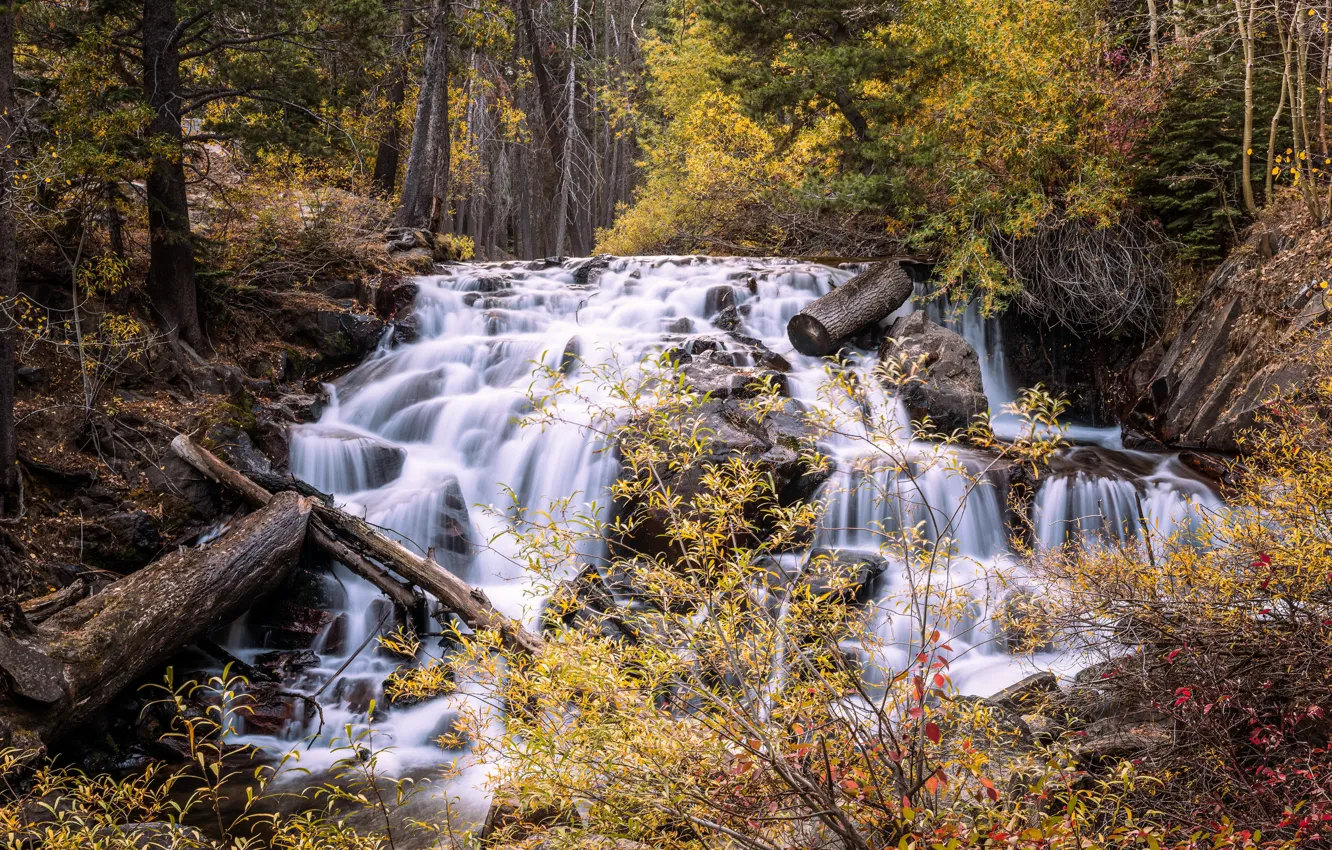 Фото обои осень, река, водопад