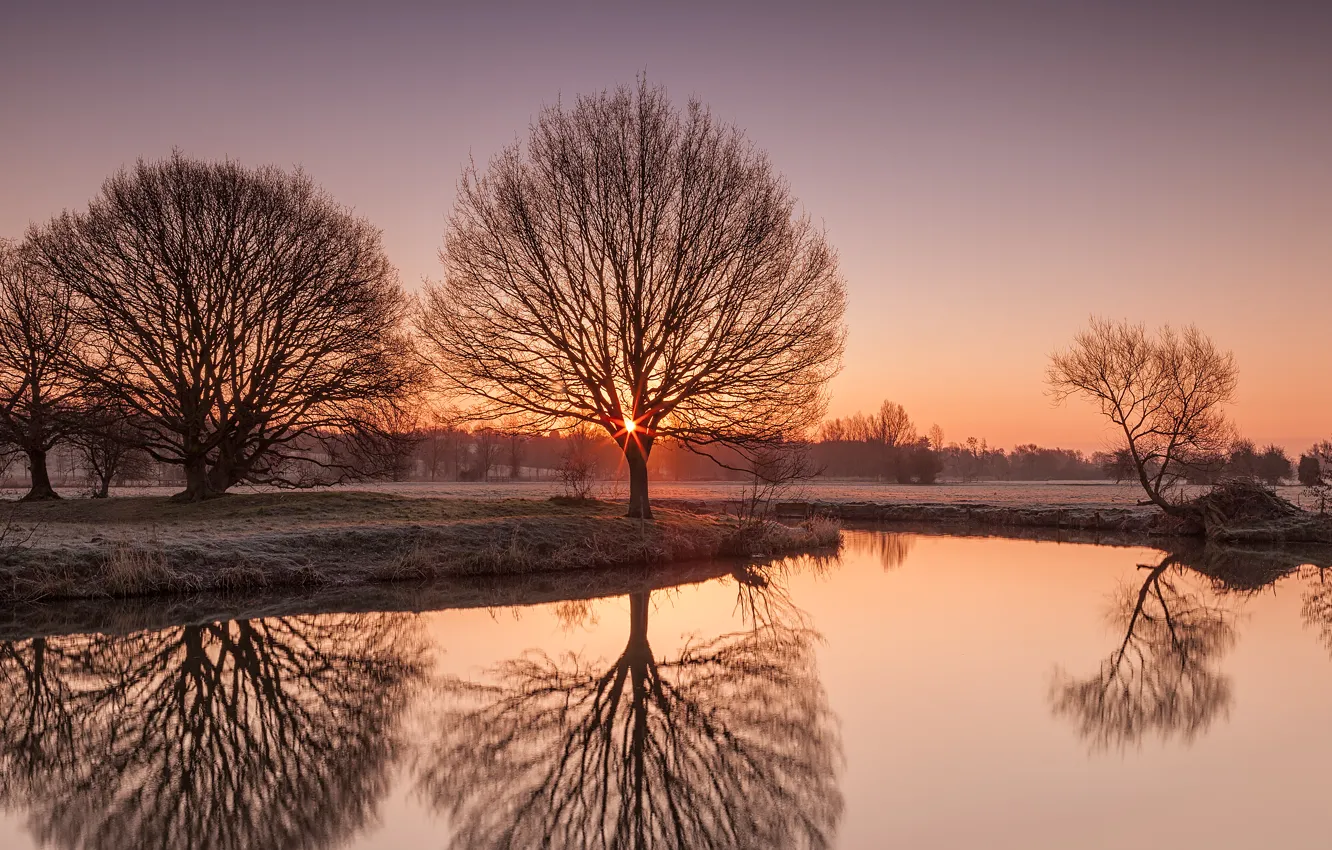 Фото обои иней, деревья, природа, озеро, утро, Suffolk, River Stour