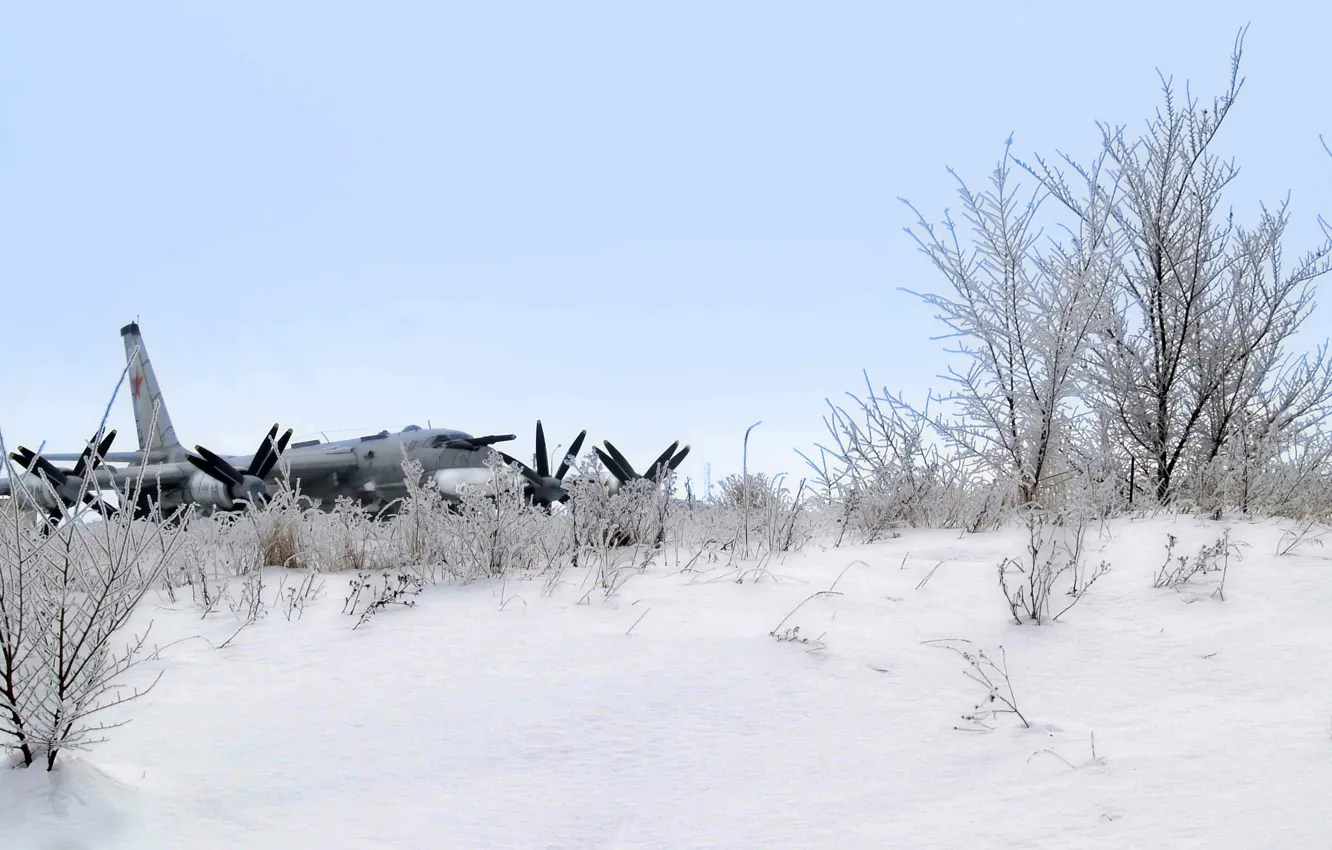 Фото обои зима, снег, самолет, ракетоносец, стратегический бомбардировщик, ту-95мс