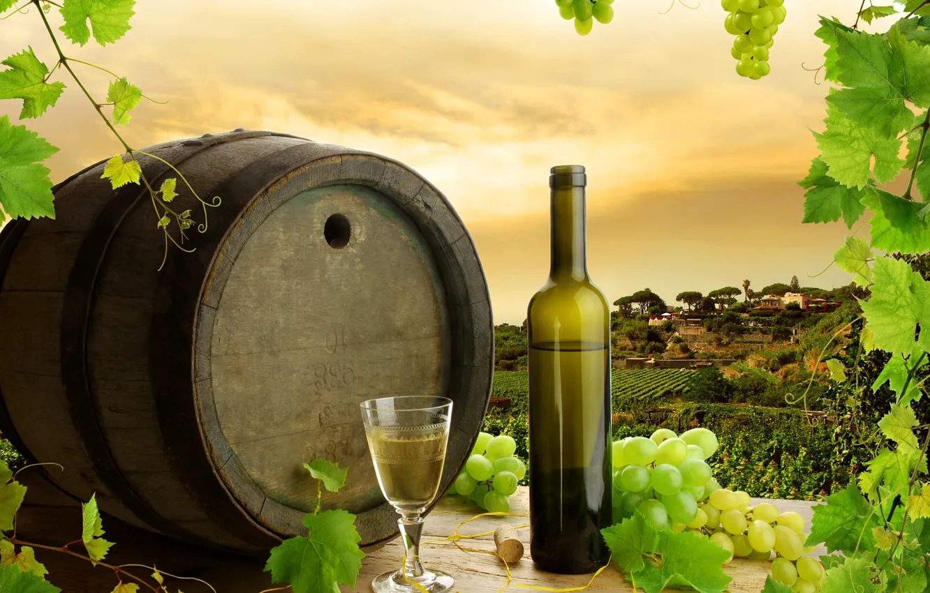 Фото обои листья, вино, белое, бутылка, виноград, бочка, виноградники